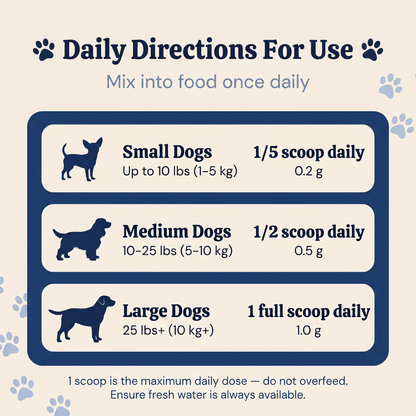 The Daily 9